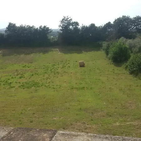 La Casa In Campagna *
