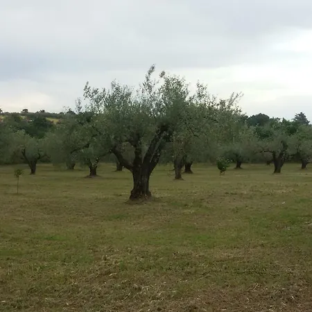 La Casa In Campagna *